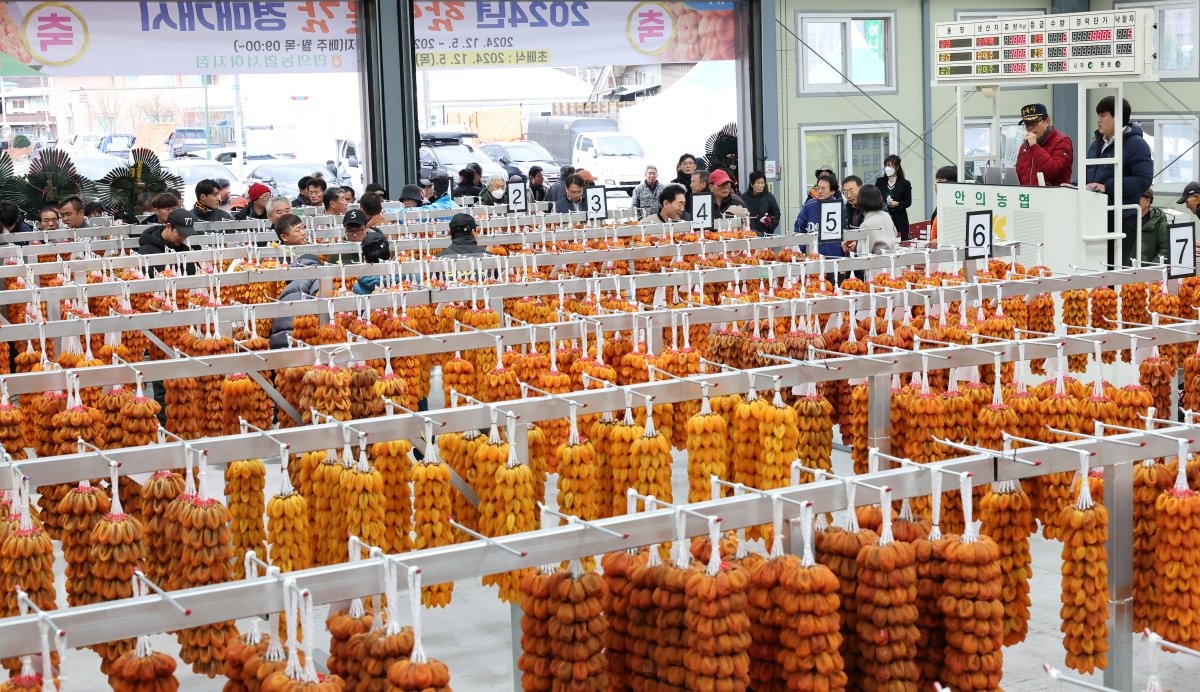 맛있는 곶감 / 뉴스1