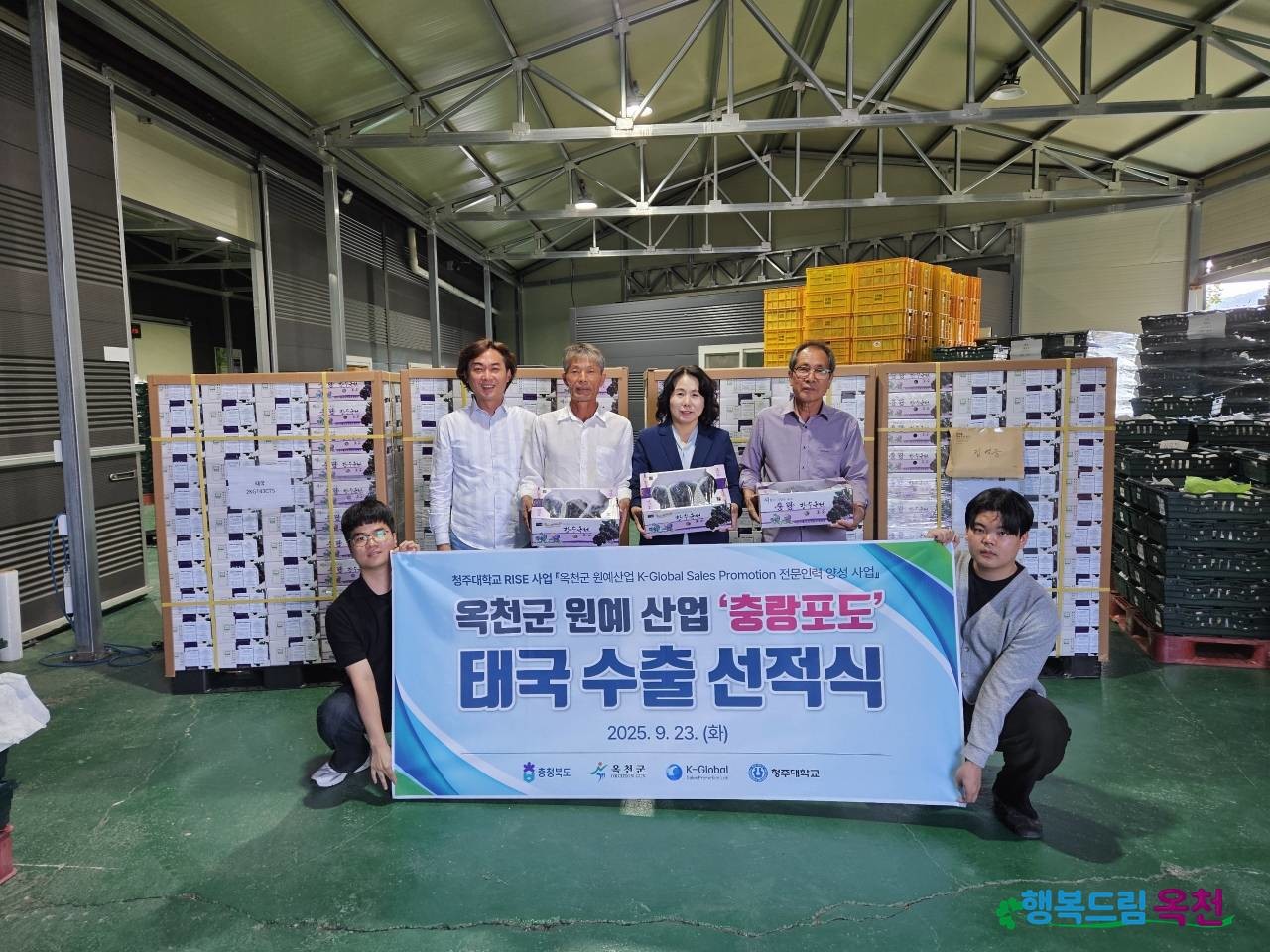 옥천군 ‘충랑포도’가 지난달 23일 태국 시장에 처음으로 수출됐다. / 옥천군 제공