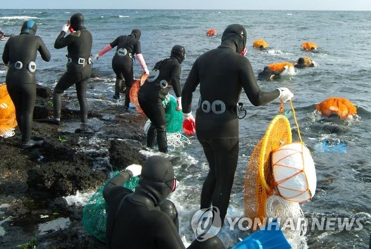 바다로 나가는 제주 해녀. 기사와 무관 / 연합뉴스 자료사진