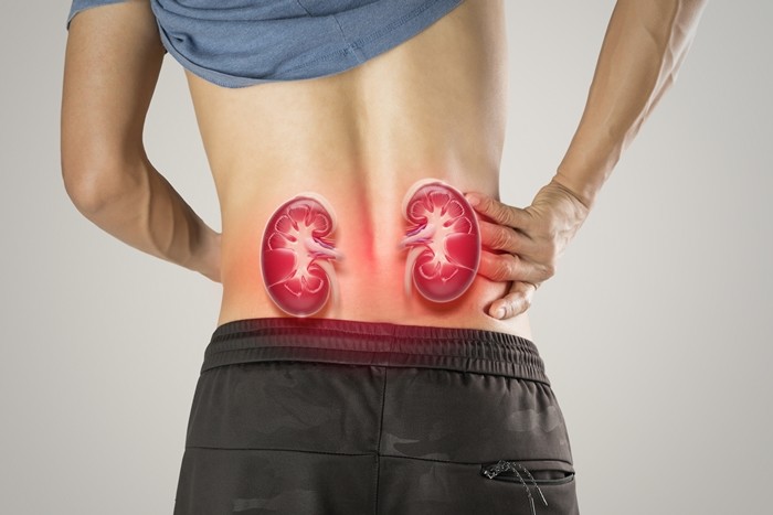 기사의 이해를 돕기 위한 사진 / Tattoboo-shutterstock.com