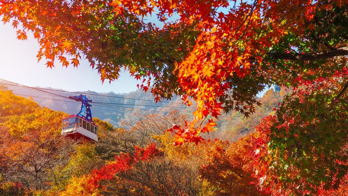 설악산 단풍. / NavyBank-shutterstock.com