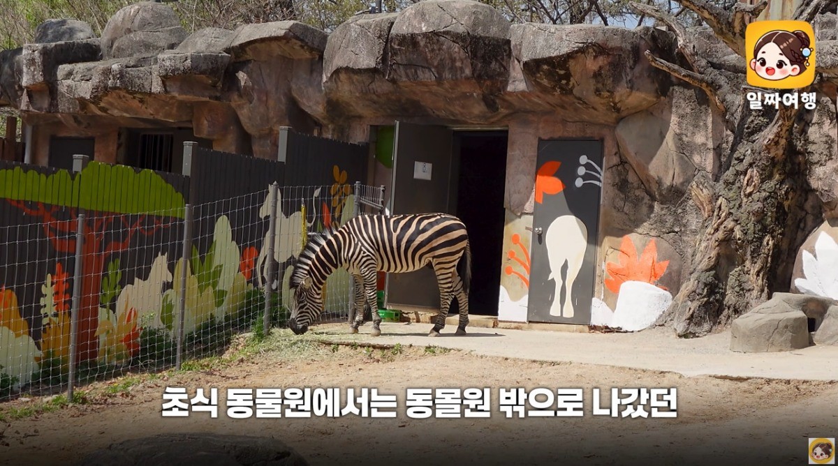 어린이대공원 동물원. / 유튜브 '일짜여행 𝒊𝒍𝒛𝒛𝒂 𝒕𝒓𝒊𝒑'