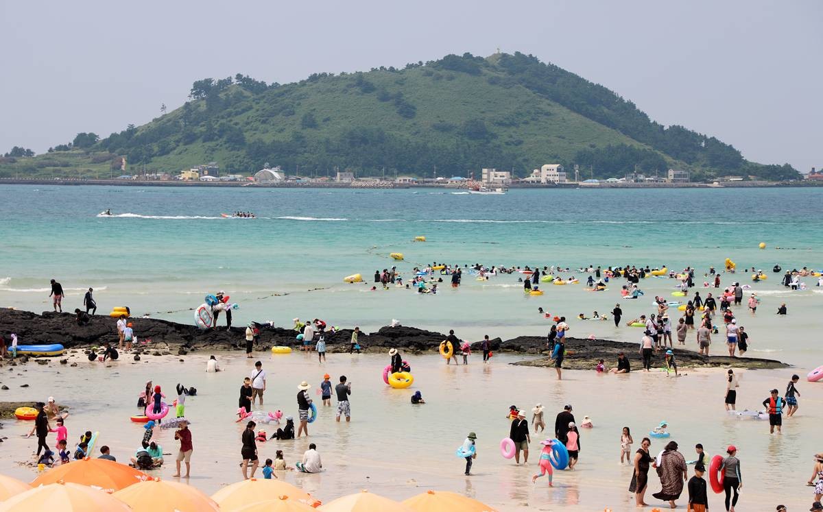 제주 바다 즐기는 피서객 / 뉴스1