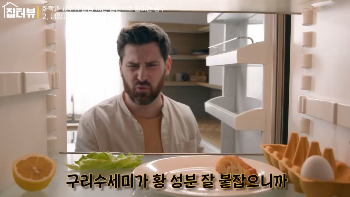 유튜브 채널 집터뷰에서 소개한 냉장고 냄새 제거법 관련 이미지. / 유튜브 '집터뷰'
