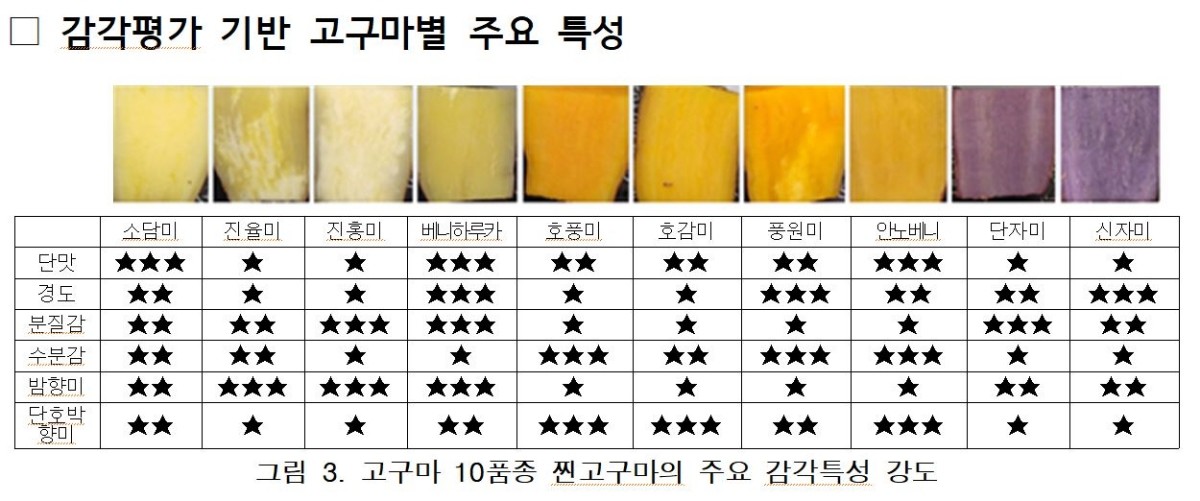 감각평가 기반 고구마별 주요 특성 / 농촌진흥청 제공
