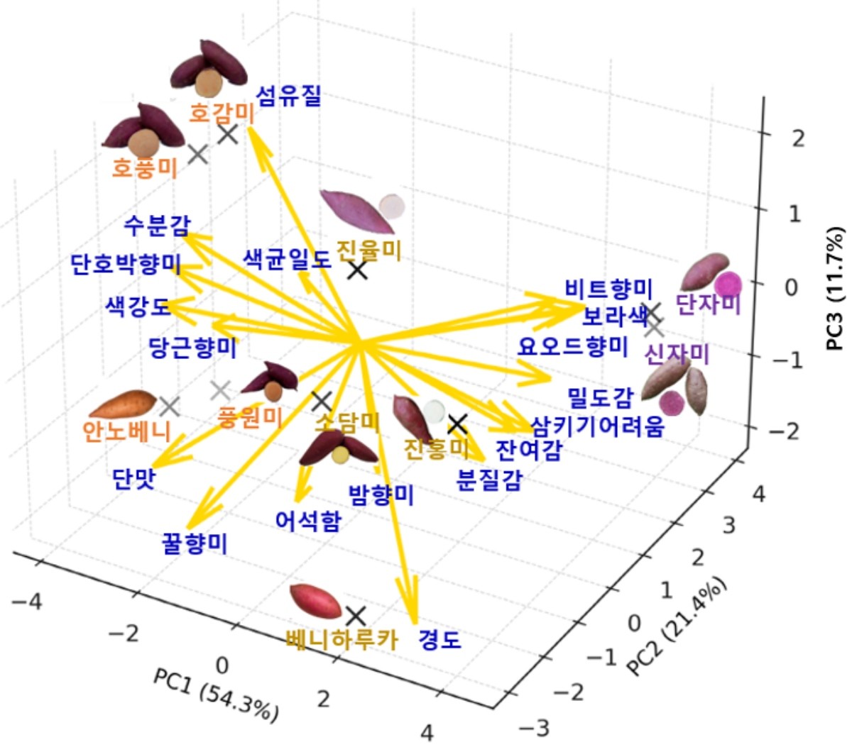 10품종 찐고구마 18개 특성별 시각화 지도 (3차원) / 농촌진흥청 제공