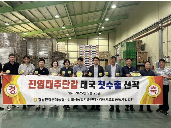 진영 태추단감이 태국으로의 첫 수출길에 올랐다. / 김해시