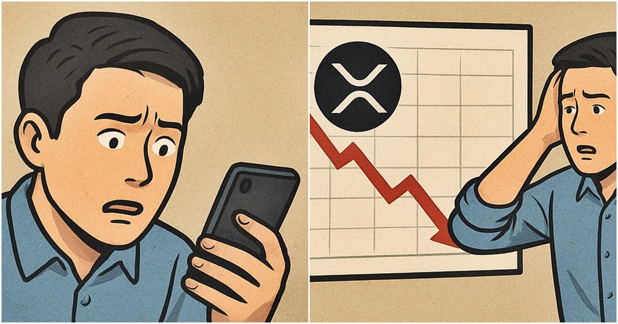 기사 내용을 바탕으로 한 참고 이미지