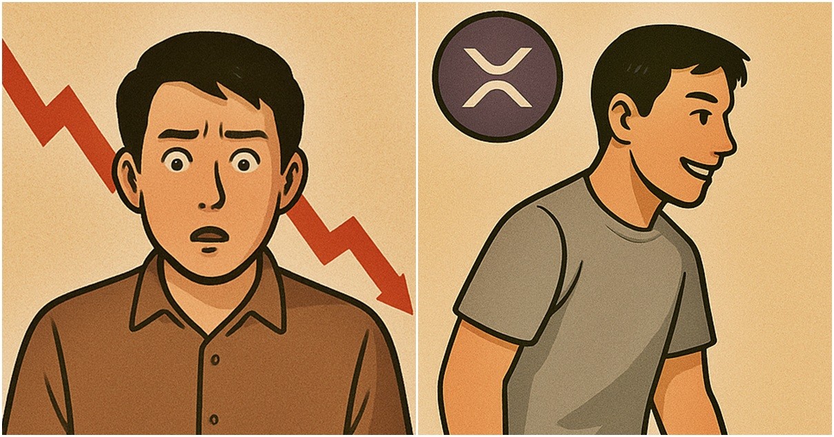 기사 내용을 바탕으로 한 참고 이미지