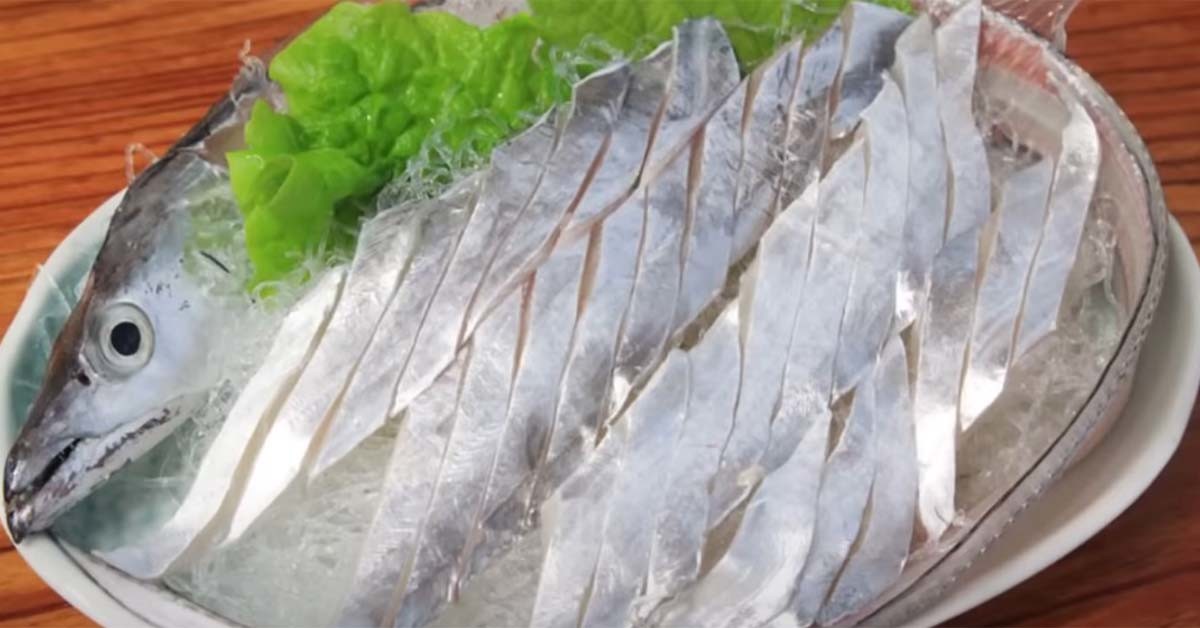 갈치 회 / '생선선생 미스터S' 유튜브 채널