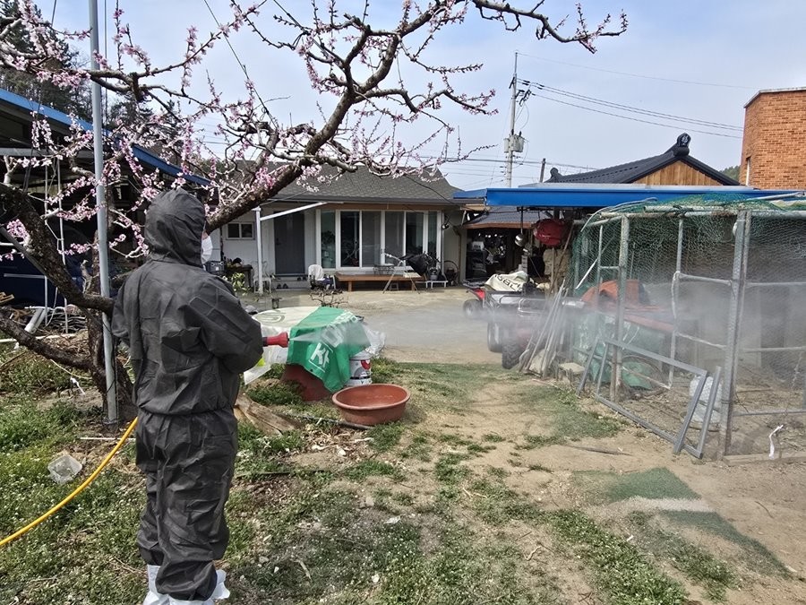 영천시는 10월부터 내년 2월까지를 가축전염병 특별방역대책기간으로 정하고 방역 활동에 돌입한다. 사진은 영천시 공동방제단이 소독을 하고 있는 모습.  / 영천시 제공