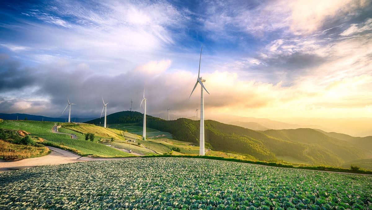 강원도 태백. / Ozone foto-shutterstock.com