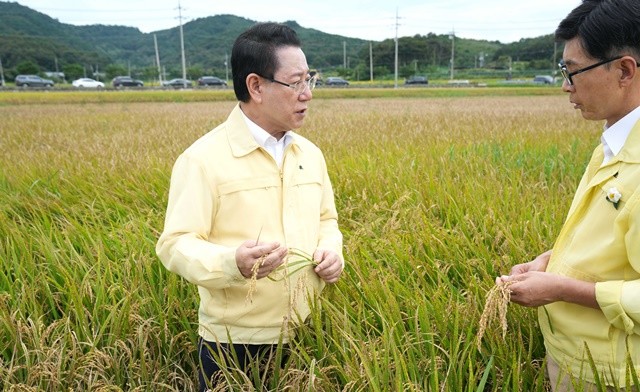 김영록 전라남도지사가 26일 오후 벼 깨씨무늬병 피해 현장인 보성군 미력면 반룡리 일원을 방문해 주요 농작물 피해현황 청취 및 피해현장을 둘러보고 있다.