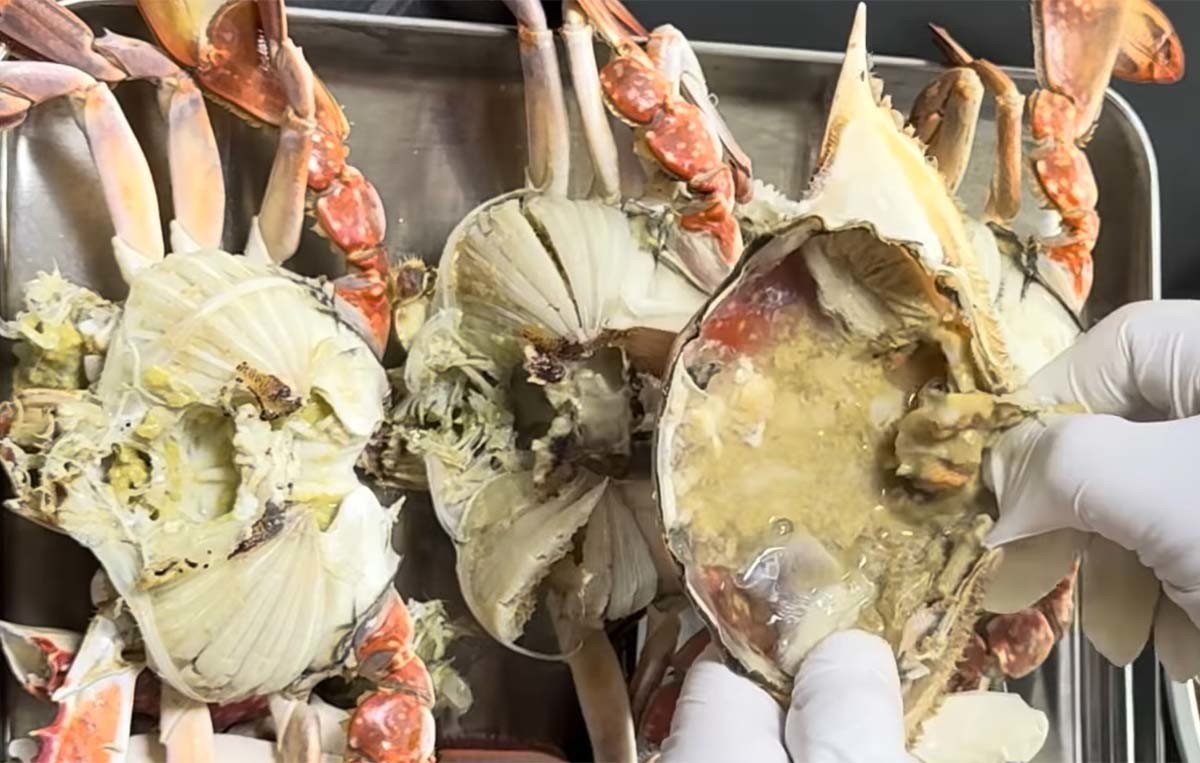 꽃게찜 / '고향엄마밥상' 유튜브