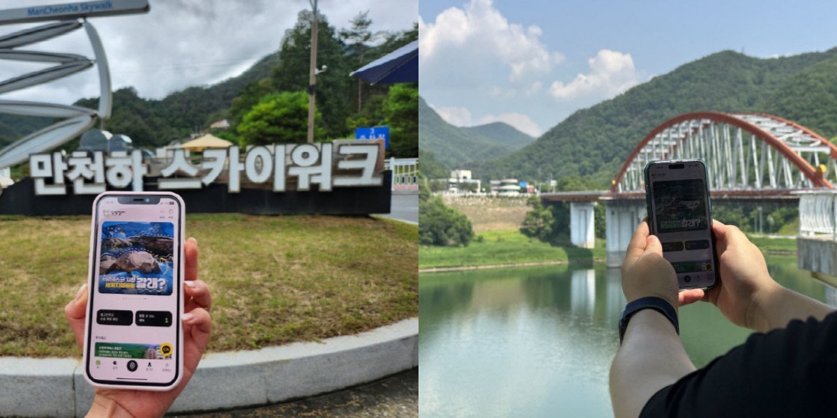 단양갈래 어플리케이션 / 단양군 제공