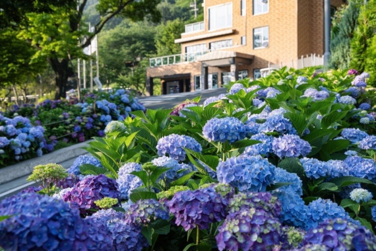 월아산 숲속의 진주 / 진주시 제공