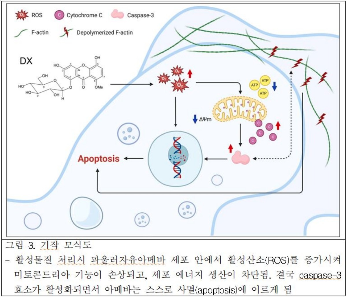 국립낙동강생물자원관 제공