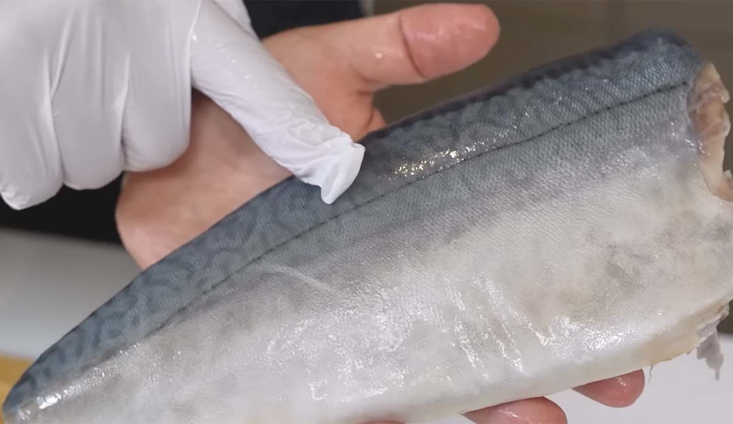 냉동 고등어 / '입질의추억TV 유튜브