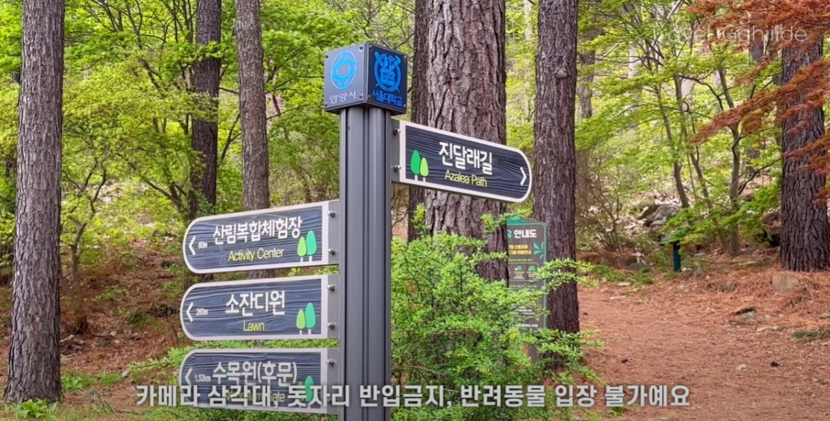 서울대 관악수목원. / 유튜브 '가희드 gahiiide'