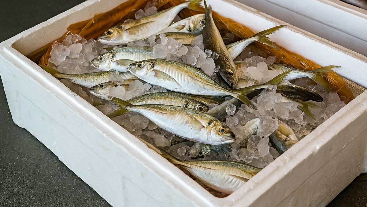 기사 내용을 바탕으로 AI가 생성한 자료사진.