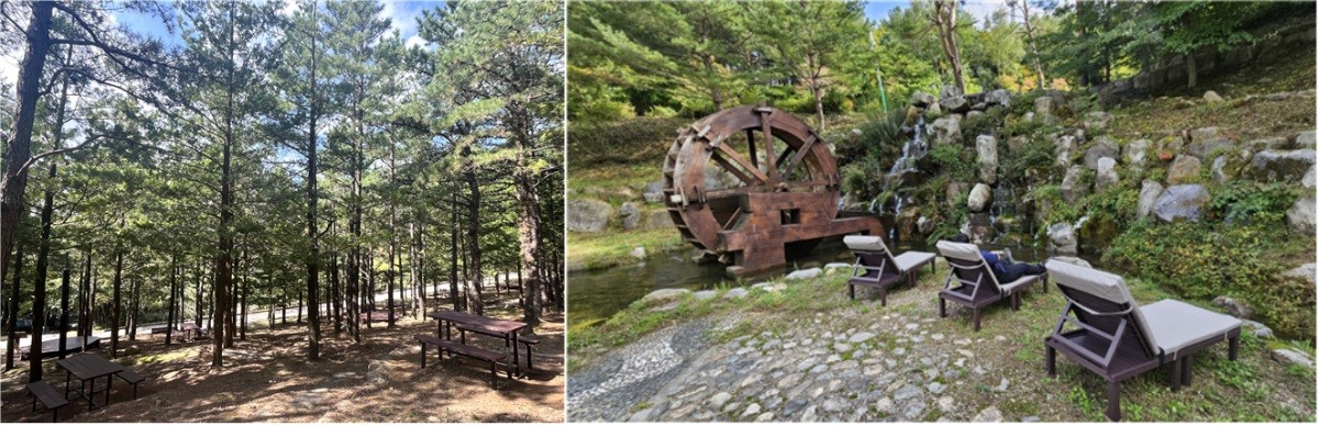 팔공산 숲 속 쉼터(피크닉존)와 태백산 숲 속 쉼터(피크닉존) / 국립공원공단 제공