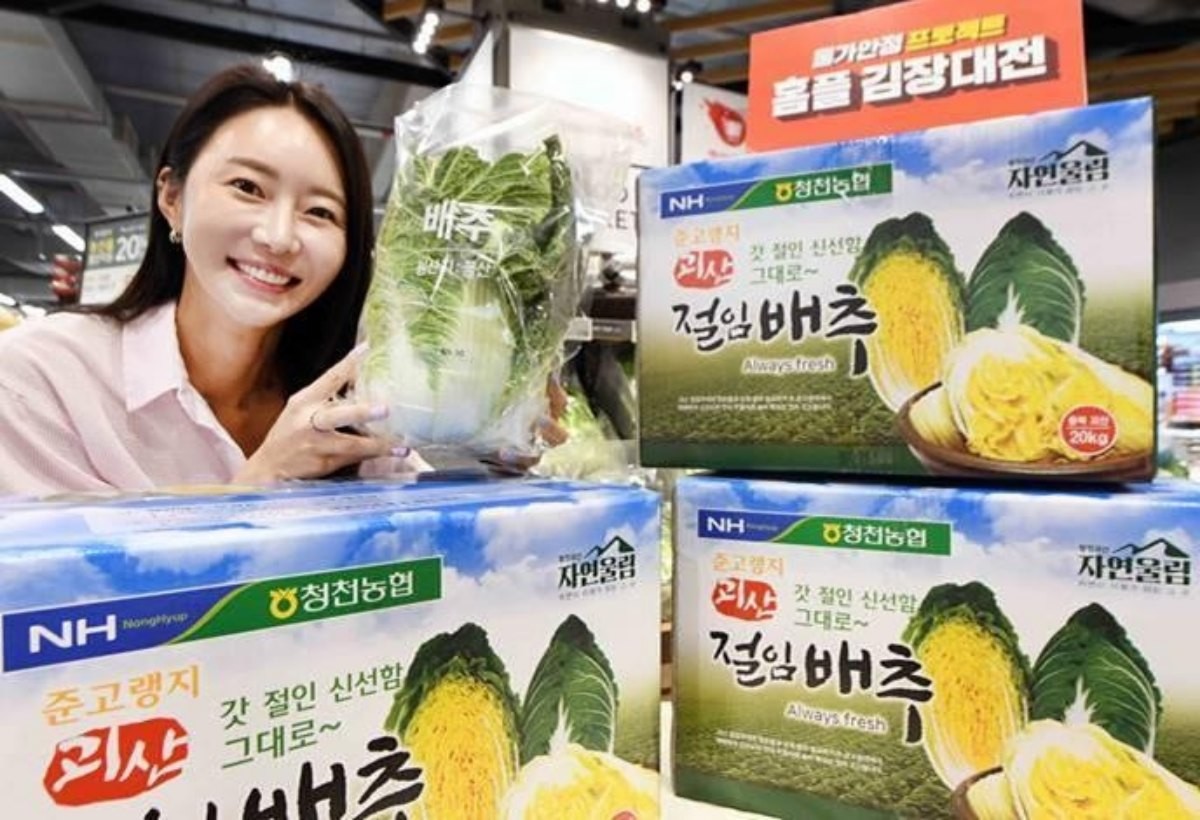 홈플러스가 추석 연휴 직후인 오는 10일부터 절임배추 사전예약 접수를 시작한다고 2일 밝혔다. / 홈플러스 제공