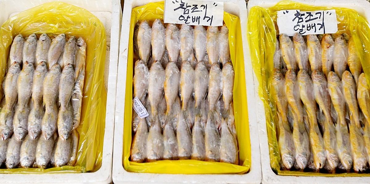 한 시장 수산코너에 진열된 참조기 모습. 기사 이해를 돕기 위한 자료 사진입니다. / 연합뉴스