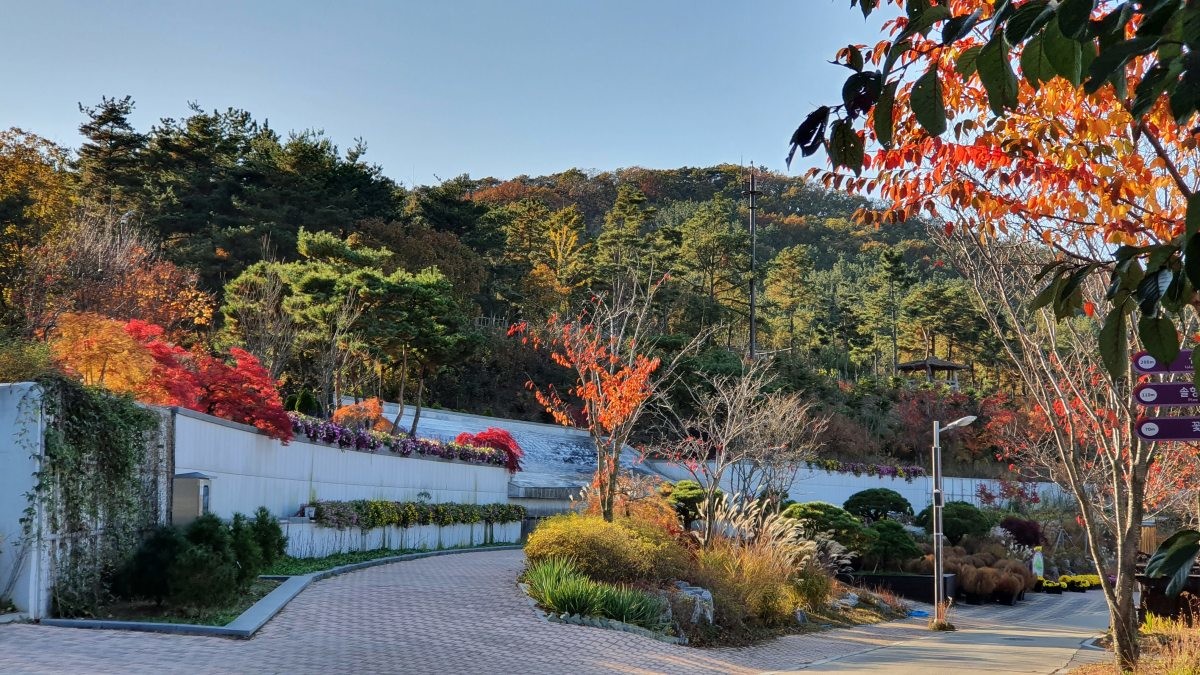 벽천의 가을 / 경기도 제공