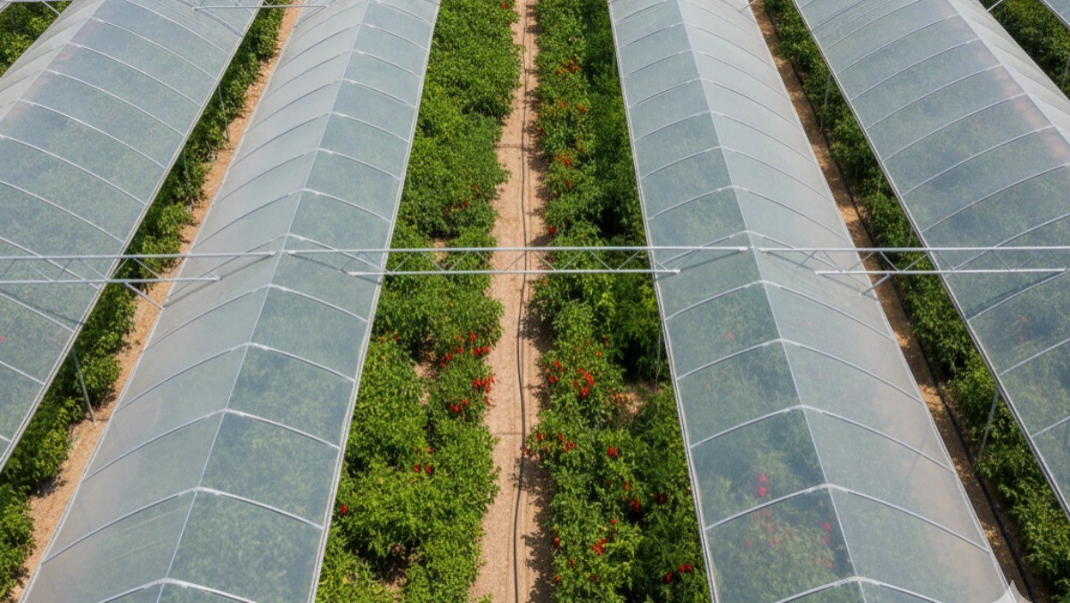 기사를 바탕으로 AI가 생성한 자료사진. 실제와 차이가 있을 수 있습니다.