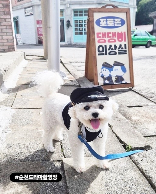 드라마촬영장에서 강아지가 교복을 입고 해맑게 웃고 있다.