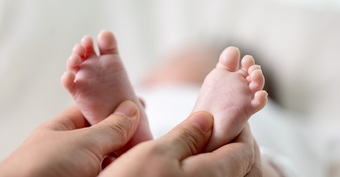 기사의 이해를 돕기 위한 사진 / bigshot01-shutterstock.com