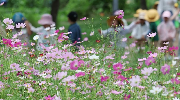 기사의 이해를 돕기 위한 사진 / 뉴스1
