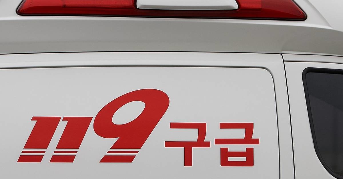 기사에 대한 이해를 돕기 위해 AI 툴로 제작한 자료 사진