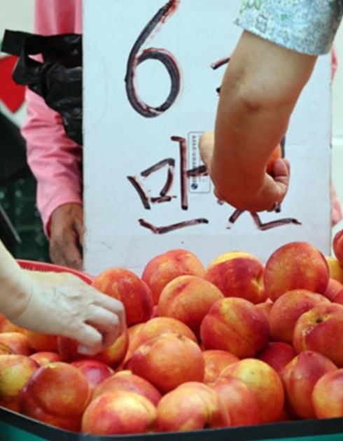 기사의 이해를 돕기 위한 사진 / 뉴스1