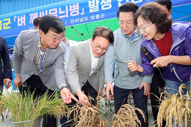 김민석 국무총리와 김영록 전라남도지사,김성 장흥군수가 7일 오후 벼 깨씨무늬병 피해지역 현장인 장흥군 안양면 해창리 일원을 방문, 피해 현황을 살펴보고 있다.