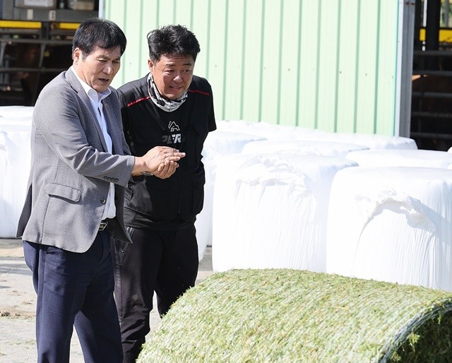 이상익 함평군수가 총체벼 수확 현장을 점검하고 있다.