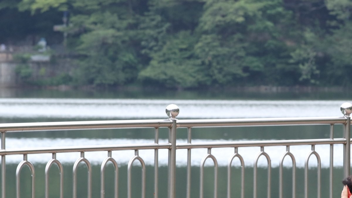 부산 부산진구 어린이대공원 수변공원 벤치 근처. (기사 내용과 직접적인 연관은 없음을 밝힙니다.) / 뉴스1