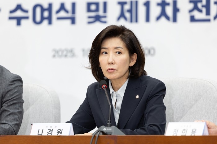 나경원 국민의힘 의원 / 뉴스1