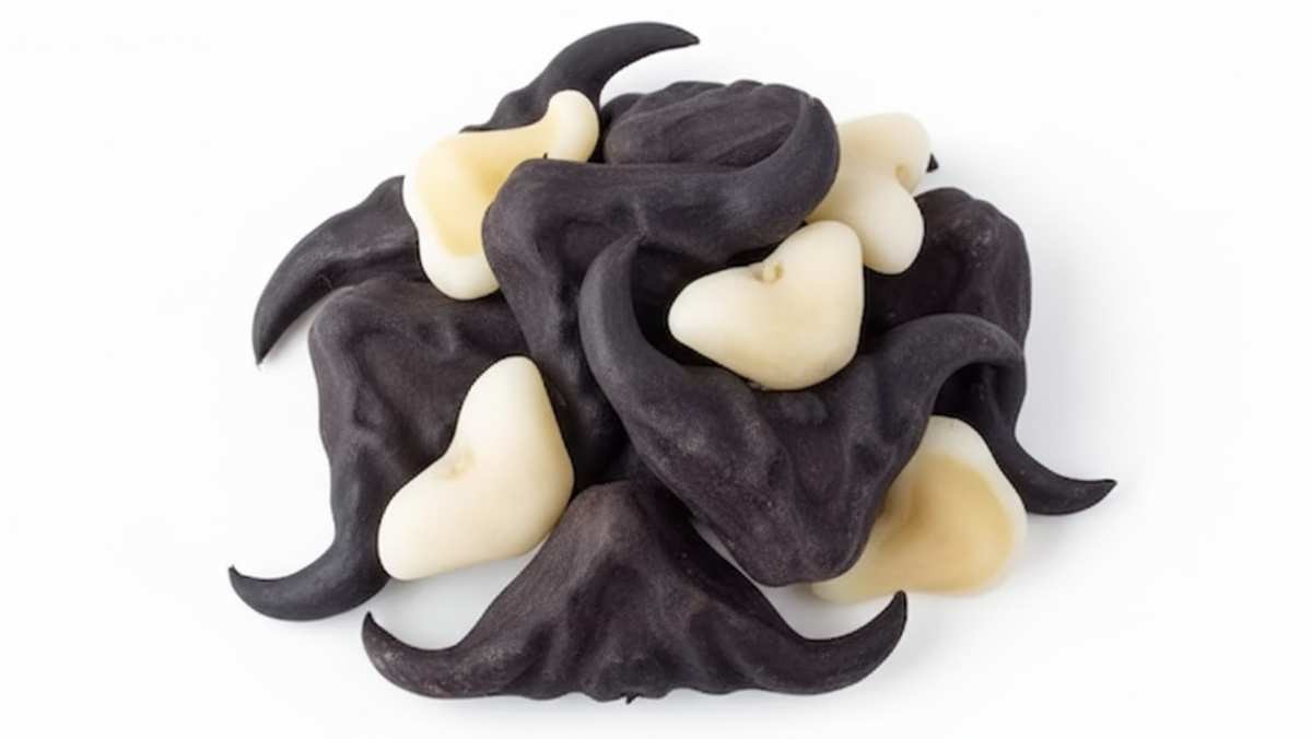 악마처럼 생긴 견과류의 속은? 기사 내용을 바탕으로 AI가 생성한 자료사진.