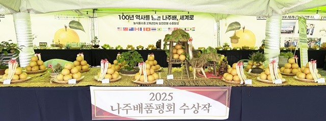‘나주농업페스타’ 현장에서 ‘나주배 품평회’ 수상작을 전시 부스를 통해 방문객들에게 선보이고 있다.
