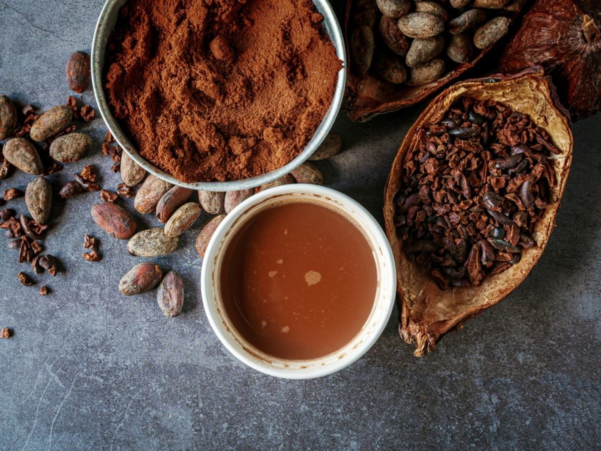 코코아 자료사진 / Narong Khueankaew-shutterstock.com