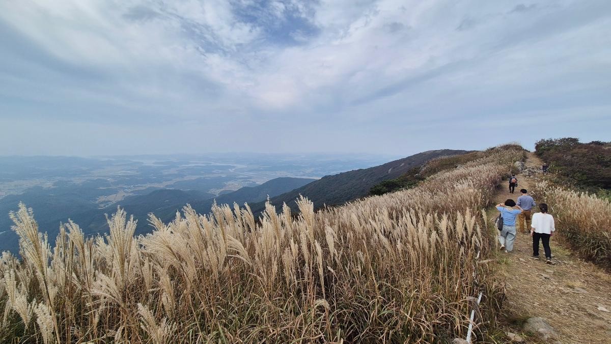 오서산. / 연합뉴스