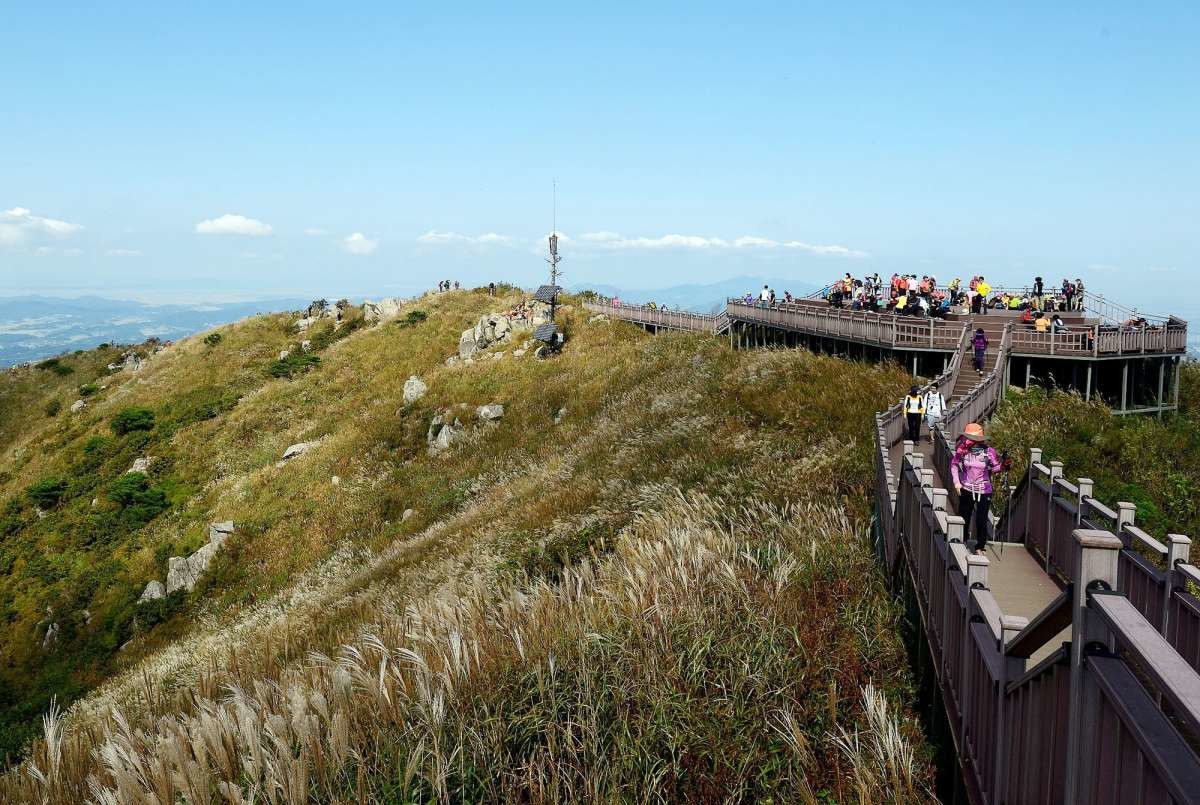 충남 오서산. / 연합뉴스