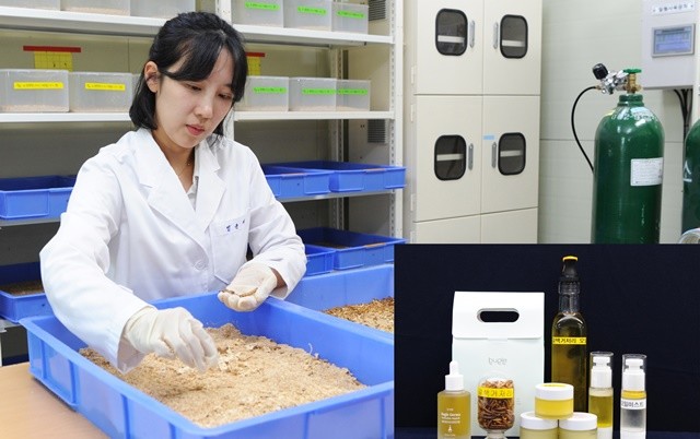 갈색거저리 연구(임윤지 연구사)