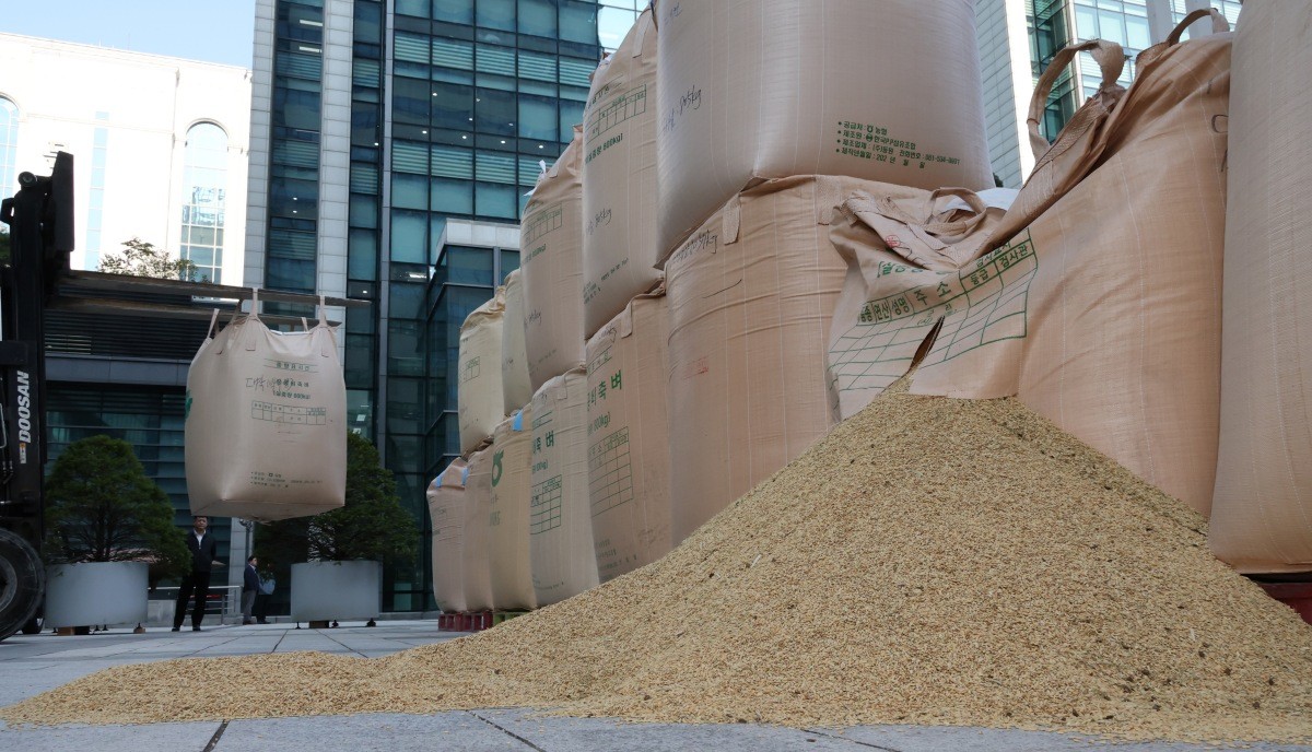 쌀값 보장 시위 / 연합뉴스