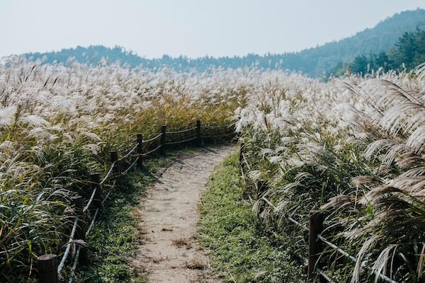 청암산 / 군산시