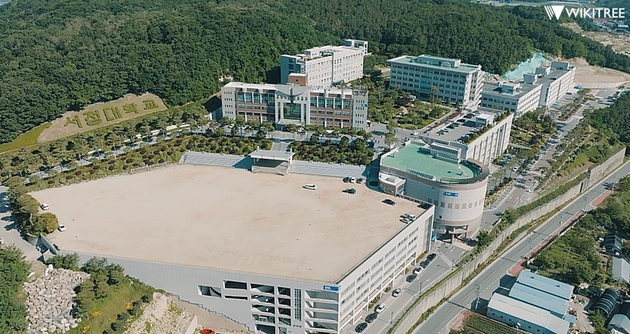 서정대학교