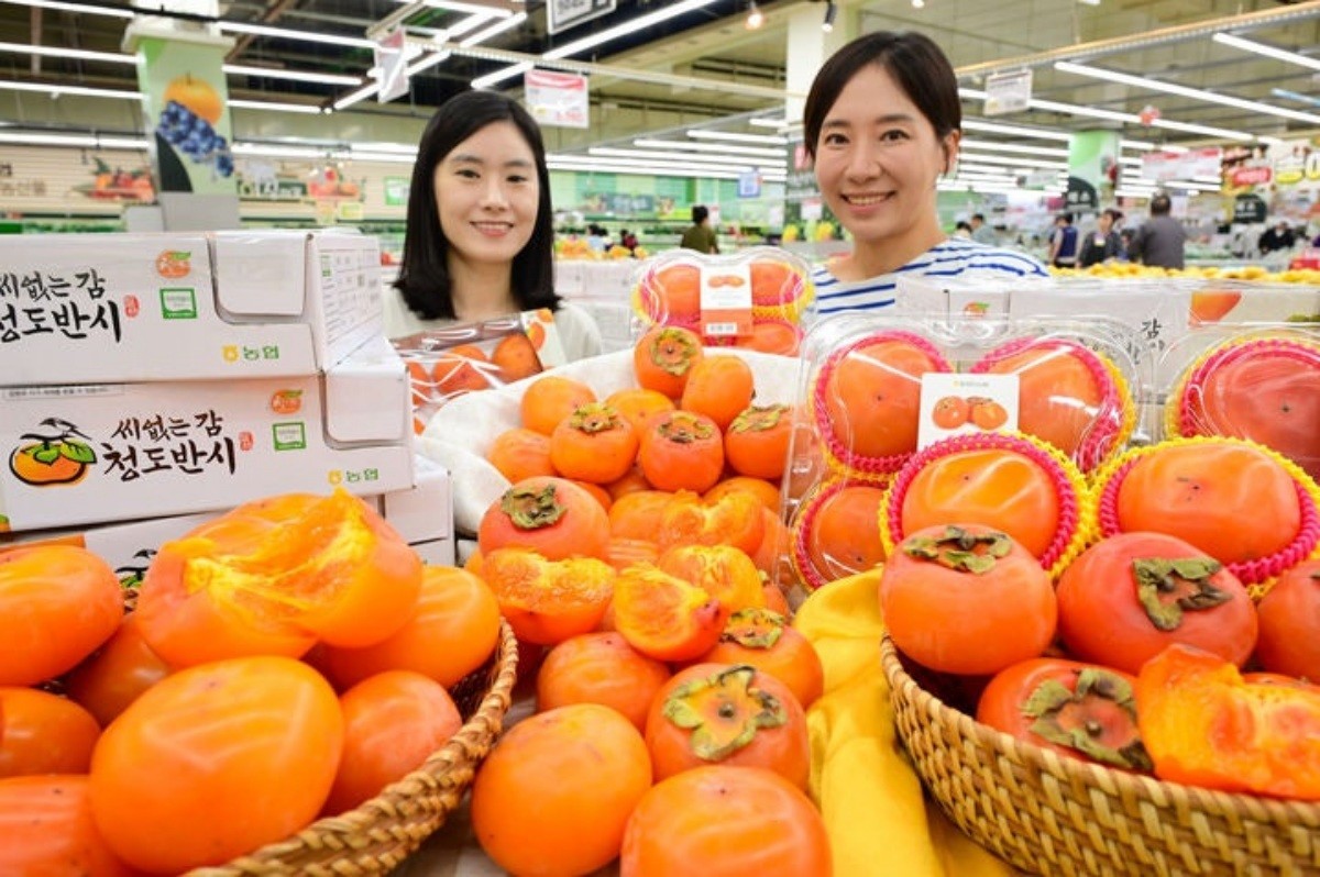 서울 서초구 하나로마트 양재점에서 모델들이 가을 제철 과일인 '청도 반시'를 소개하고 있다. / 농협유통 제공