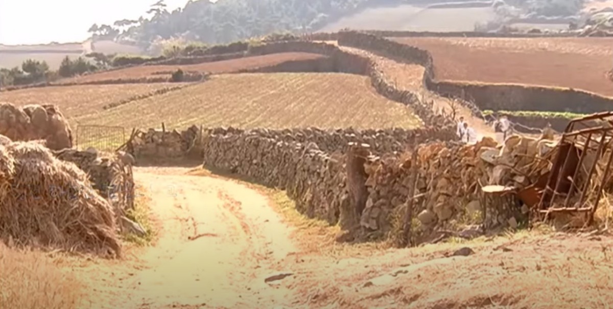 청산도를 배경으로 한 영화 '서편제'.    / 유튜브 '#소셜DJ김중완Tube'