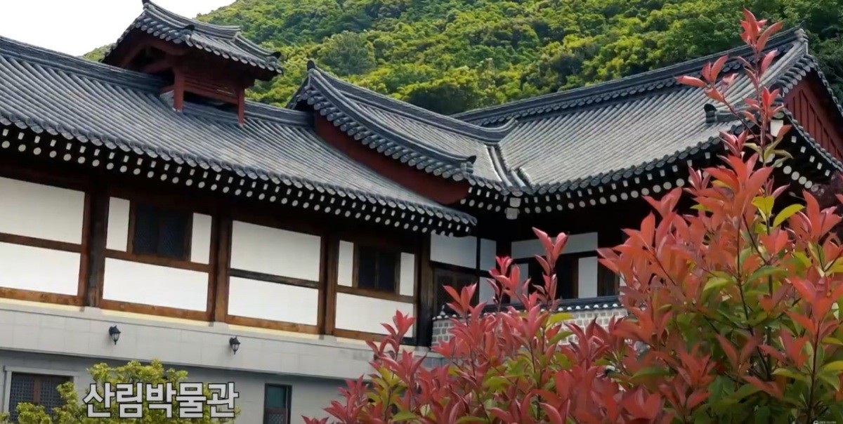 완도수목원. / 유튜브 '국립수목원'